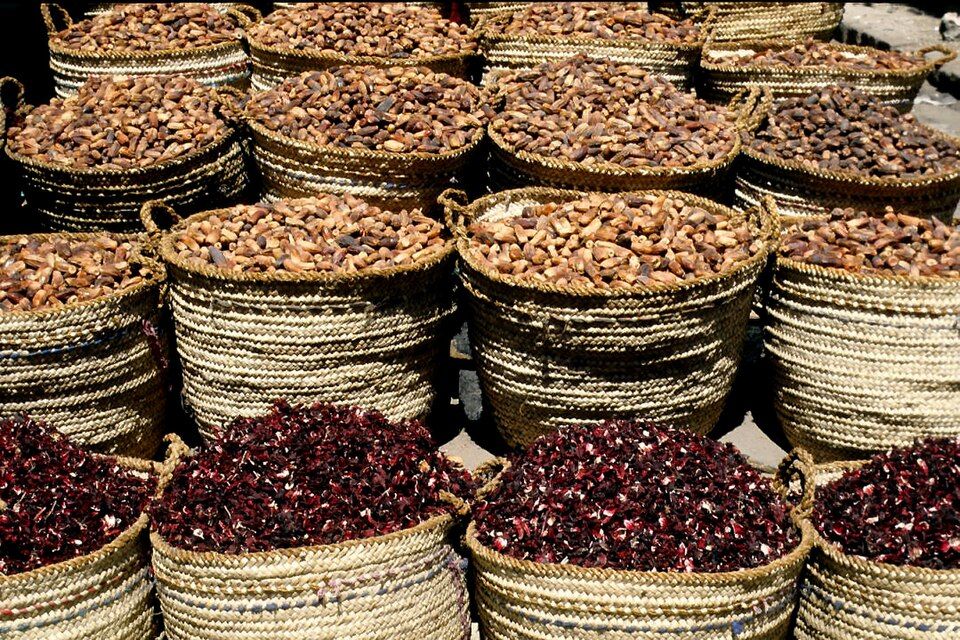 اسعار البلح والتمور، فيتو