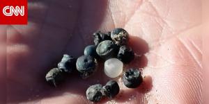 حادثة كارثية.. تسرب 10 أطنان من الخرز البلاستيكي الحيوي إلى الساحل بإنجلترا