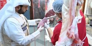 «الغذاء»: مستوى سلامة الغذاء مطمئن ويخضع لرقابة مستمرة