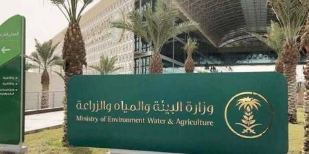 "بيئة تبوك" تعلن عن فرصة استثمارية لإنشاء وتشغيل بيوت محمية وزراعة مائية