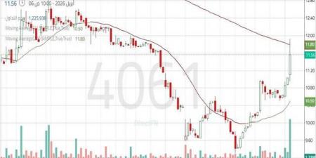سهم "أنعام القابضة" يتحرك ضمن اتجاه هابط مع سيطرة القوة البيعية