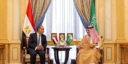وزيرا خارجية مصر والسعودية يؤكدان أهمية وقف التصعيد والعودة للمفاوضات