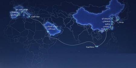 تداول اليوم .. MSC تحدّث مسار خدمة شحن تربط السعودية بموانئ أوروبية وآسيوية - بوابة مصر الجديدة
