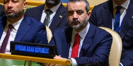 الشيباني: سوريا انتقلت من طرح الرؤى إلى ترجمتها في الواقع- (تدوينة)