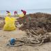 فريق الغوص يرفع 4 أطنان من المخلفات في حملته البيئية بساحل الزور