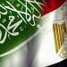 وزير الخارجية: تنسيق مصري سعودي لحماية أمن البحر الأحمر