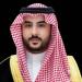 وزير الدفاع يبحث مع تركيا وجنوب أفريقيا تعزيز التعاون العسكري