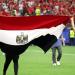 منها تشكيل لجنة لتجديد عقد حسام حسن.. اتحاد الكرة المصري يصدر 6 قرارات