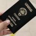نبأ هام .. ‫«العدل»: آلية لتوقيع عقود الموظفين المسحوبة جنسياتهم‬ - بوابة مصر الجديدة