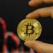 تداول اليوم .. بيتكوين يتراجع إلى 79 ألف دولار قبيل بيانات التضخم الأمريكية - بوابة مصر الجديدة