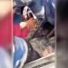 نبأ عاجل .. فيديو مؤثر يوثق إنقاذ طفلة تحت أنقاض في نيبال بعد أيام من الفيضانات المميتة - بوابة مصر الجديدة