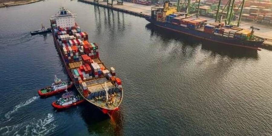 لماذا تحتفل بعض الدول بمعدلات التعريفات الجمركية الجديدة؟