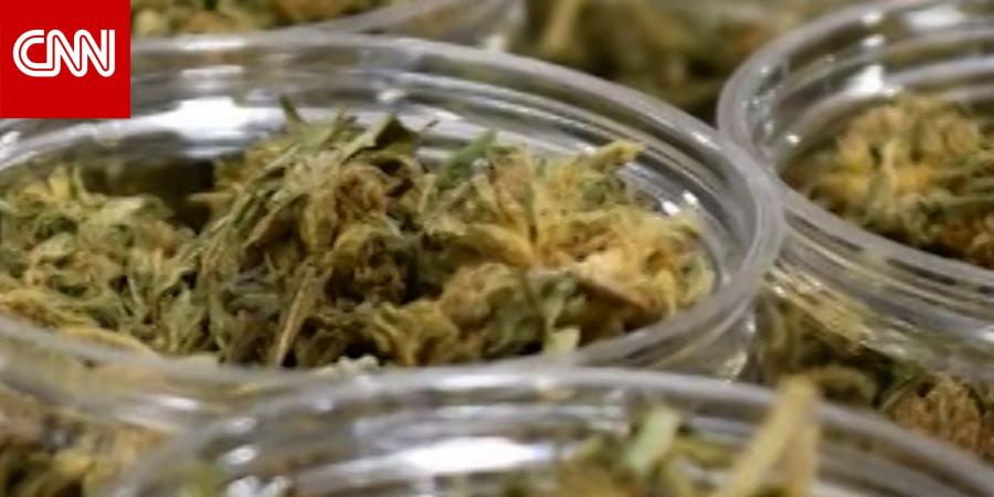 ترامب يتخذ خطوات لإعادة تصنيف الماريغوانا