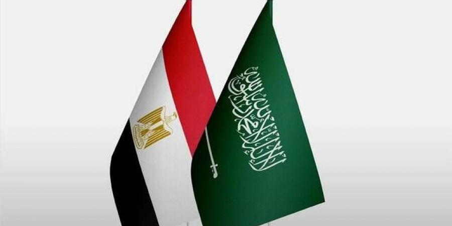 السعودية تدين الهجوم على سفينتين في ميناء دمياط وتؤكد تضامنها مع مصر